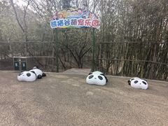-青岛动物园