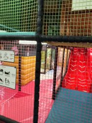 -meland亲子乐园(深圳领展中心城店)