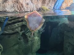 -珠海长隆海洋王国