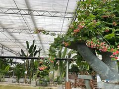 -兴芮温泉度假区