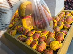 -全而廉(靖宇中路店)