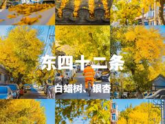 -颐和园