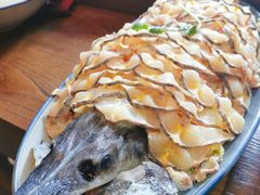 鲟龙鱼-淳安二十八道·美食汇·淳鱼馆(阳光路店)