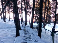 -丝绸之路山地度假区滑雪场