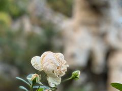 -李叔同故居纪念馆