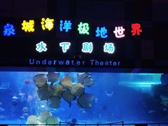 -泉城欧乐堡海洋极地世界