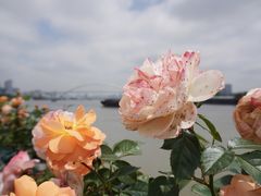 -龙美术馆(西岸馆)