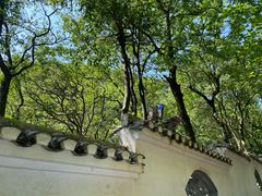 -黔灵山公园