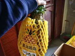 -双福水果批发市场