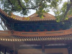 -普陀山风景名胜区-法雨禅寺