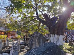 -大理古城