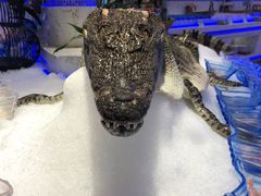 -澜悦港海鲜体验主题餐厅