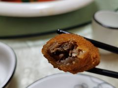 -丁老爷子苏香圆