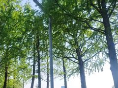 -苏州湾体育公园