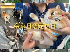 -帝京日语(春熙路旗舰校区)