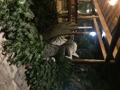 iphone_upload_pic-龙达温泉生态城