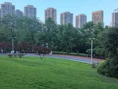 -龙头寺公园