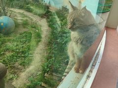 -青藏高原野生动物园