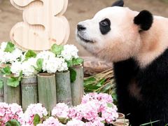 -广州长隆野生动物世界