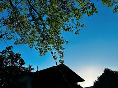 -喜洲吧·江畔老船厂·庭院餐厅(喜临院店)