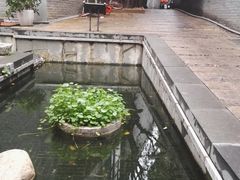 -龙老五汤店(站前西路店)