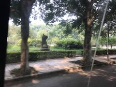 -西南政法大学(沙坪坝校区)