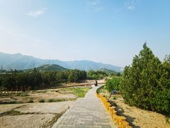 -白水寺森林公园