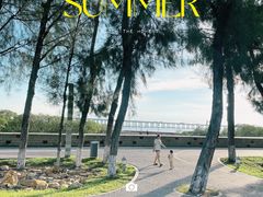 -宝安西湾红树林湿地公园