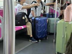 -青岛胶东国际机场