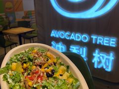 -油梨树AVOCADO TREE(嘉里中心店)