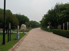 -唐城墙遗址公园