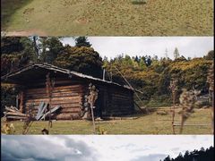 -西双版纳原始森林公园