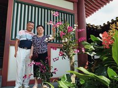 -新加坡佛牙寺龙华院