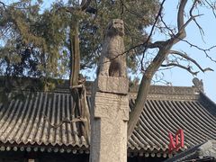 -西安碑林博物馆