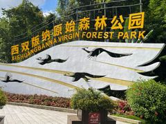 -西双版纳原始森林公园