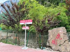 -鹿院坪生态旅游景区