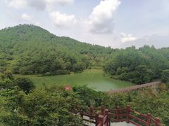 -广州白江湖森林公园