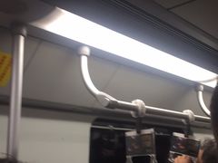 -东方体育中心(地铁站)