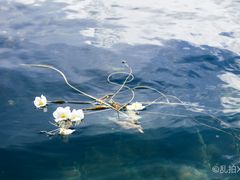 -丽江泸沽湖景区