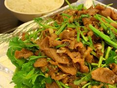 炒羊肉-勺园中餐厅