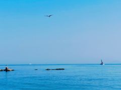 -蓬莱阁景区