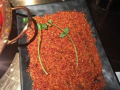 -辣伍鲜毛肚老火锅(元一店)