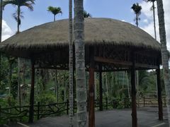 -海南槟榔谷黎苗文化旅游区