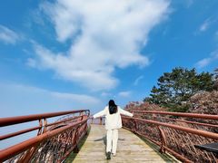 -少华山国家森林公园