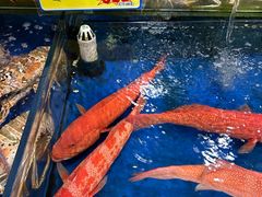 -东江海鲜酒家(艺都分店)