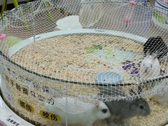 -巴黎春天(陕西路店)