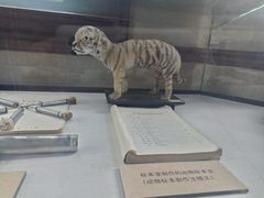 -北京动物园-畅观楼