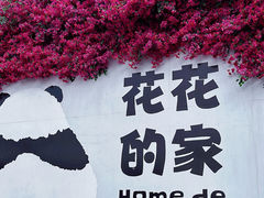 -成都环球中心天堂洲际大饭店