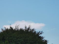 -厦门第七菜市场