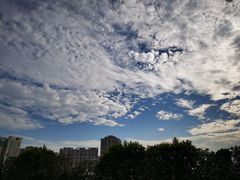 -广东省人民体育场